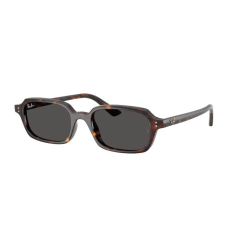 Ray Ban RB4455 ZURI