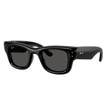 Ray Ban RB4940 WAYFARER PUFFER A$AP ROCKY